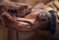 Young ÃÂoronella austriaca on male hands in leather gloves